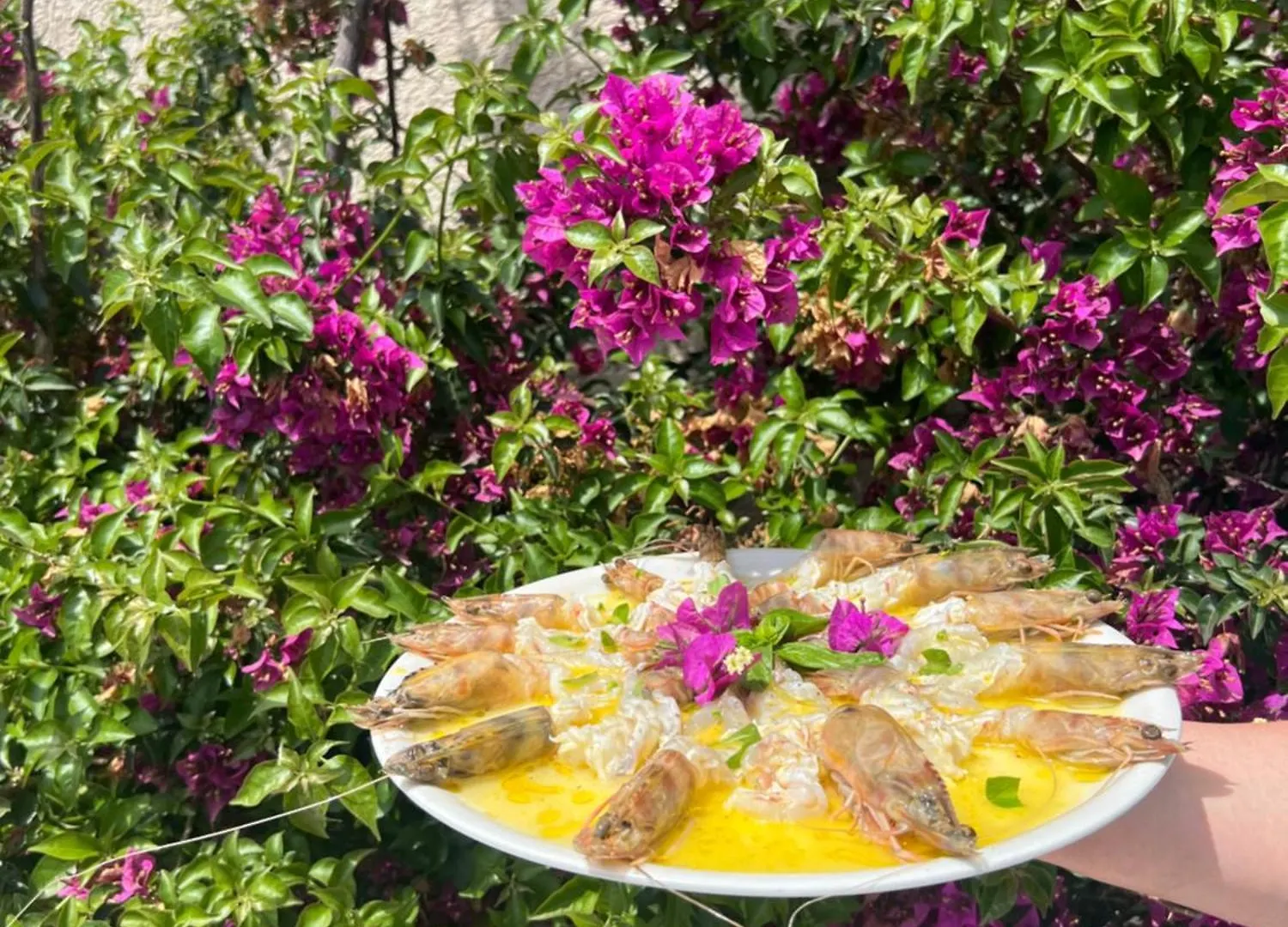Hotel Saint Michelle Residence Shetaj Albania